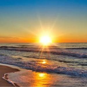 Unlisted items for live show!! Pic not for sale!